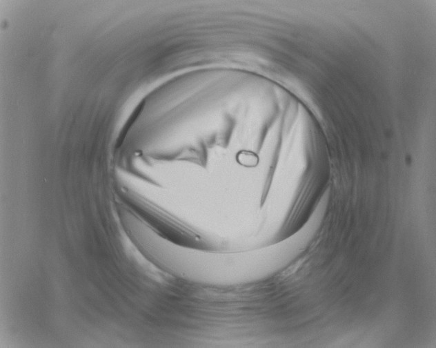 X0000060741532200512081905