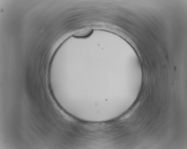 X0000060741533200512081905