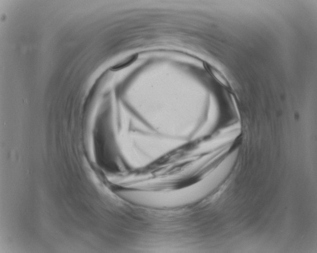 X0000060741534200512081905