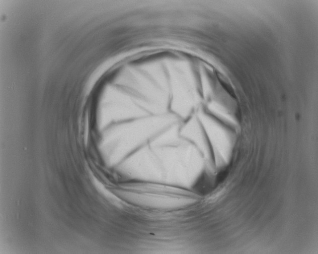 X0000060741535200512081905