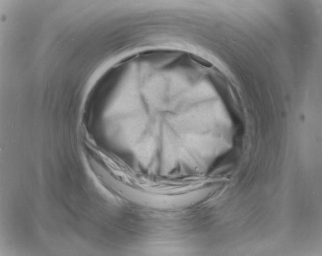 X0000060741536200512081905