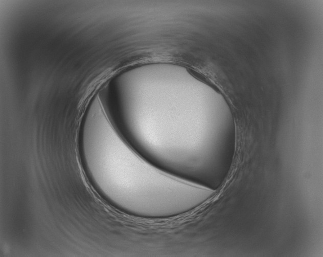 X0000060750001200511100950