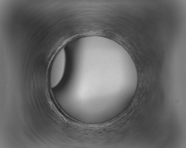 X0000060750002200511100950