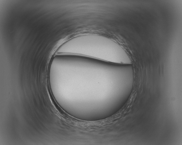 X0000060750003200511100950