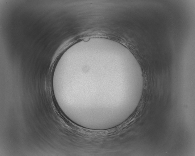 X0000060750004200511100950
