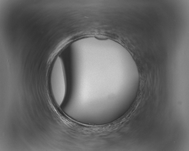 X0000060750005200511100950