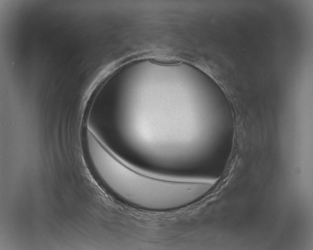 X0000060750007200511100950
