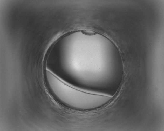 X0000060750008200511100950