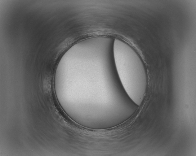 X0000060750010200511100950