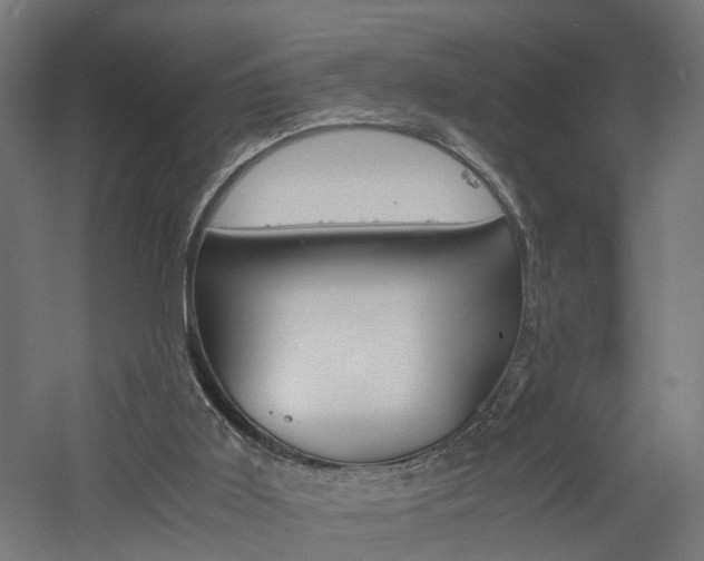 X0000060750011200511100950