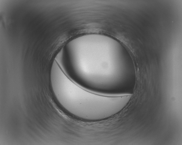 X0000060750013200511100950