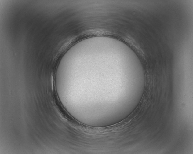 X0000060750014200511100950
