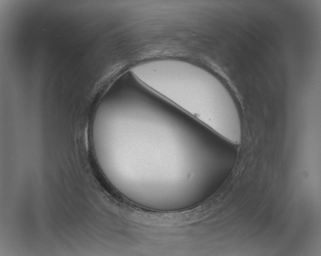 X0000060750019200511100950