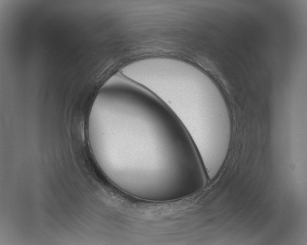 X0000060750021200511100949