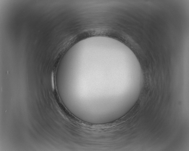 X0000060750022200511100949