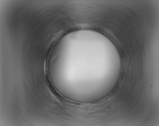 X0000060750024200511100949