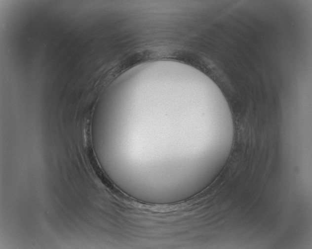 X0000060750026200511100949