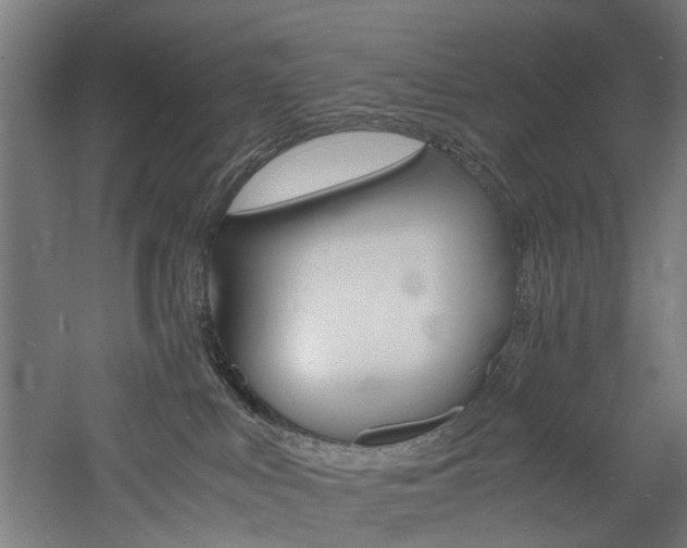 X0000060750043200511100949