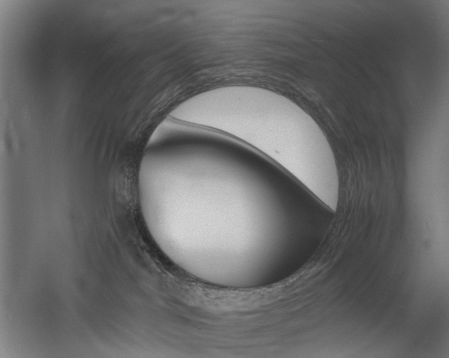 X0000060750044200511100949