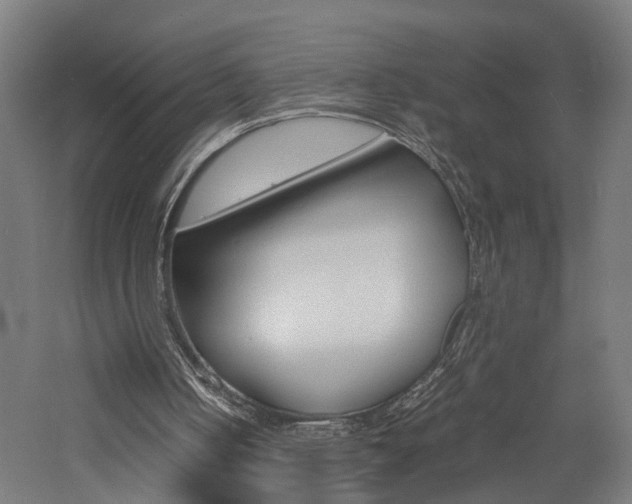 X0000060750050200511100948
