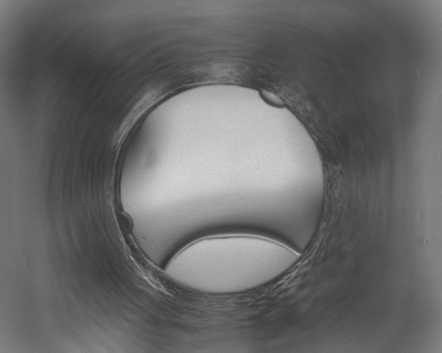 X0000060750051200511100948