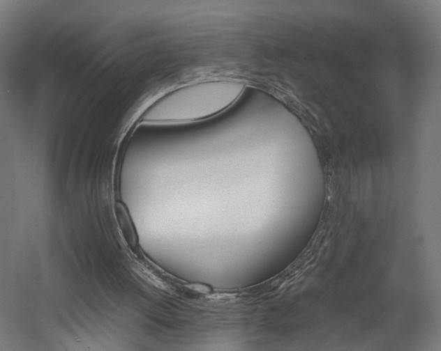 X0000060750052200511100948