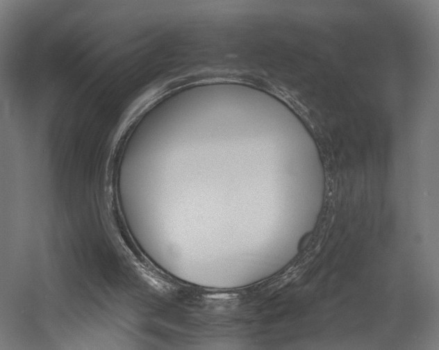 X0000060750053200511100948