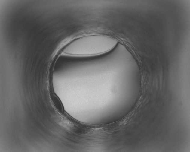 X0000060750054200511100948