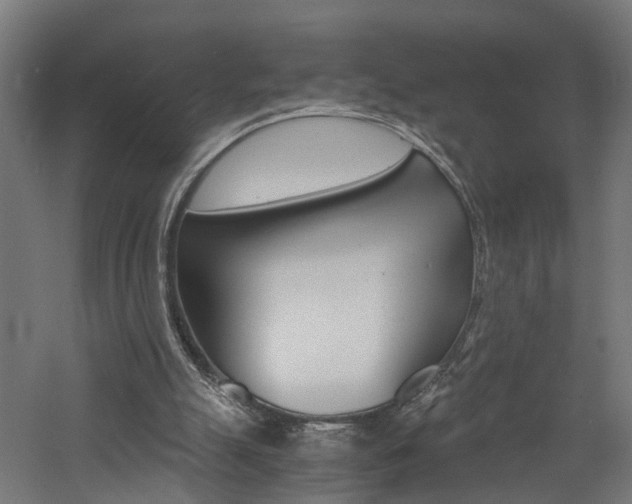 X0000060750055200511100948