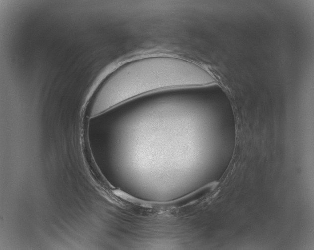 X0000060750056200511100948