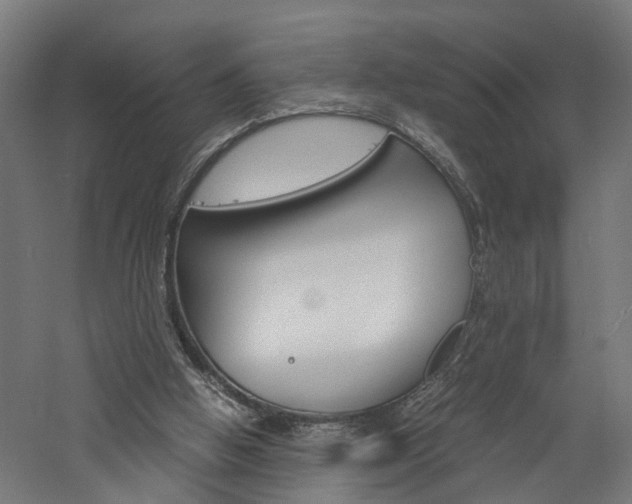 X0000060750058200511100948