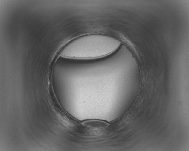 X0000060750059200511100948