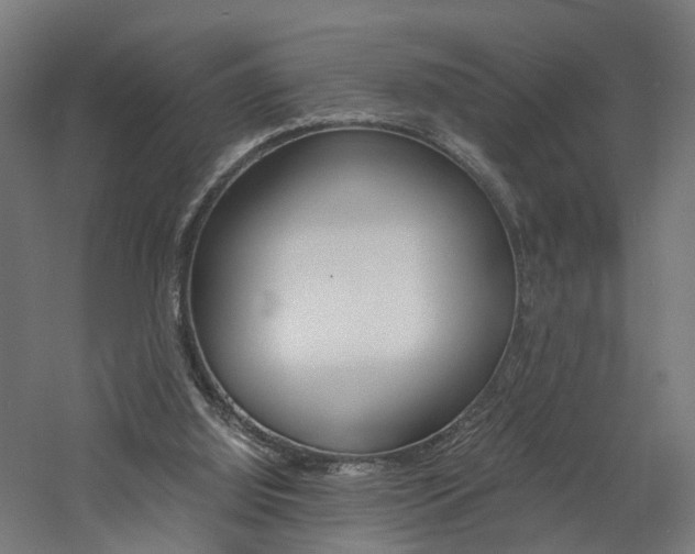X0000060750060200511100948