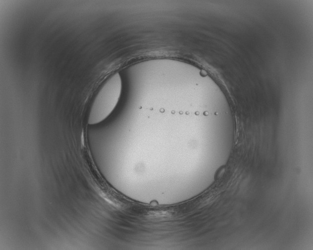 X0000060750061200511100948