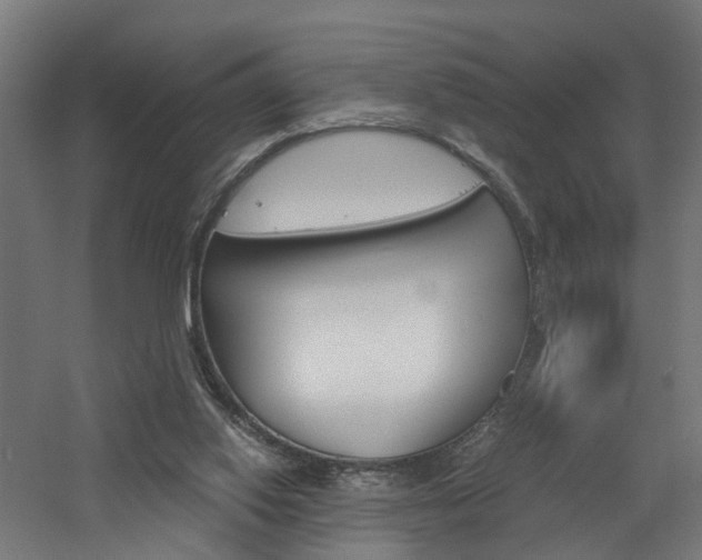 X0000060750062200511100948