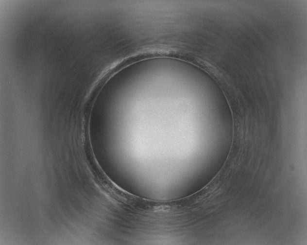 X0000060750064200511100948