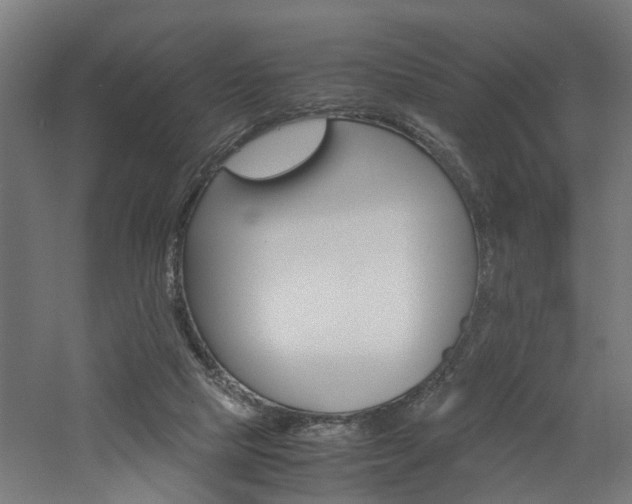 X0000060750065200511100948