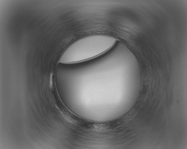 X0000060750070200511100949
