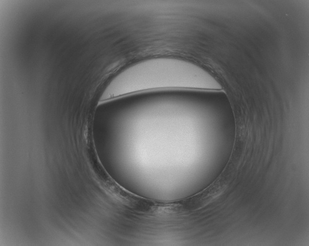 X0000060750072200511100949