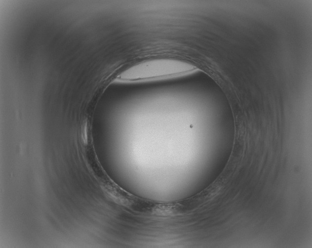 X0000060750076200511100949