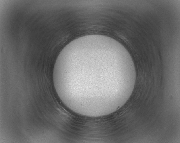 X0000060750077200511100949