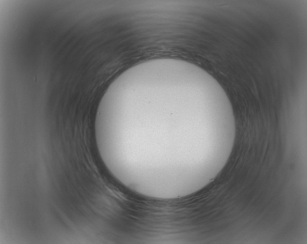 X0000060750080200511100949
