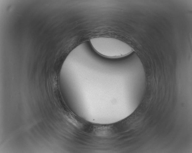 X0000060750081200511100949