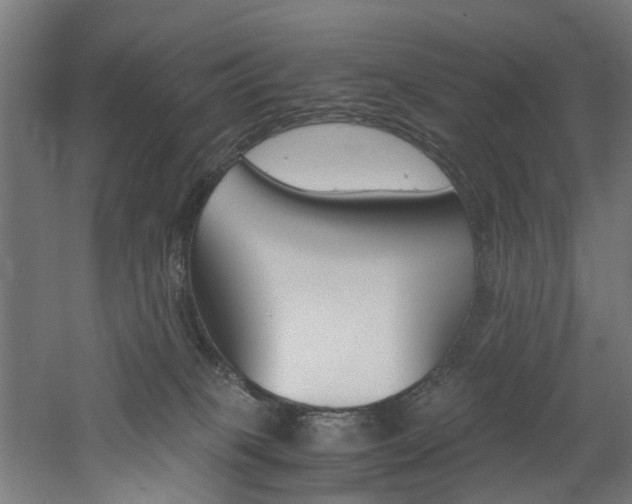 X0000060750085200511100949
