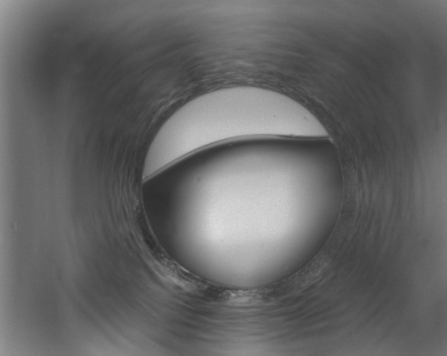 X0000060750088200511100949