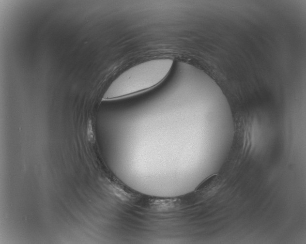 X0000060750089200511100949