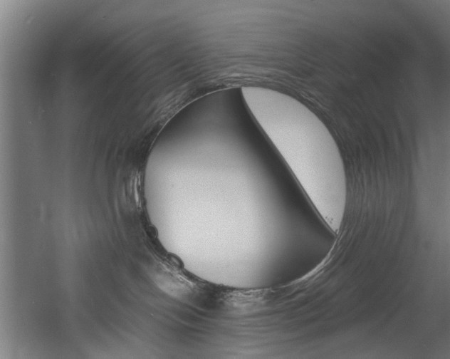 X0000060750094200511100949