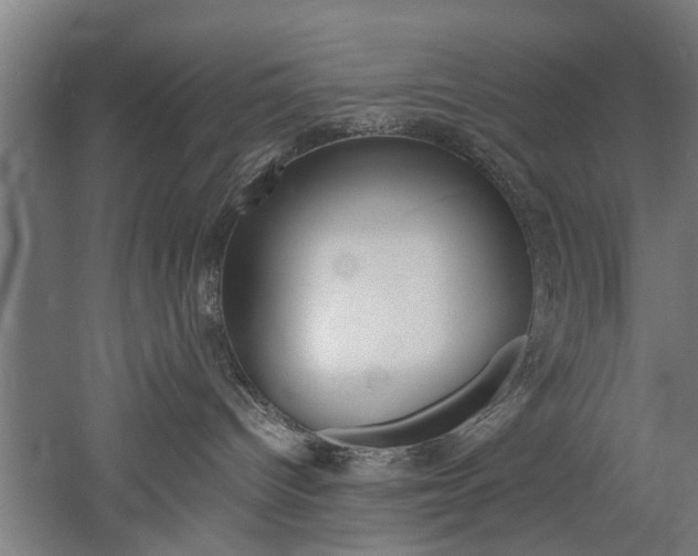 X0000060750096200511100949