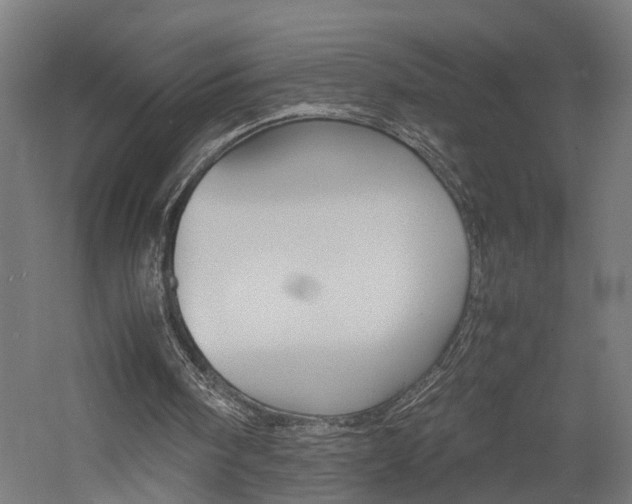 X0000060750098200511100948