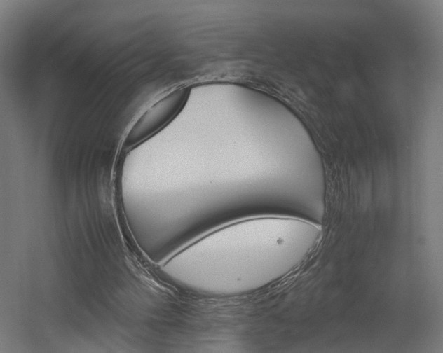 X0000060750100200511100948